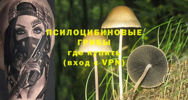 соль курить ск Алексеевка