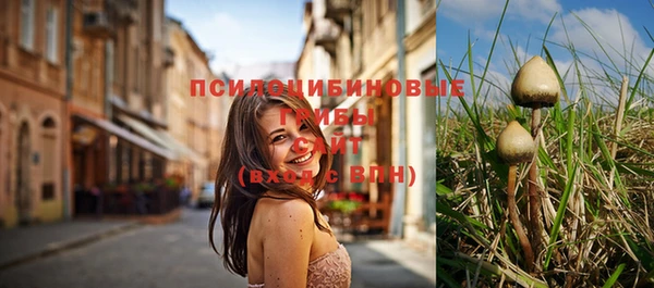 соль курить ск Алексеевка