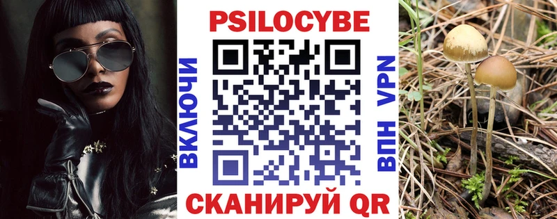Галлюциногенные грибы Psilocybe  площадка состав  Рошаль 